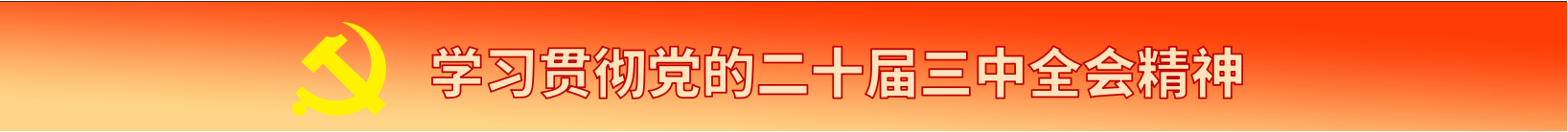 學習貫徹黨的二十屆三中全會精神